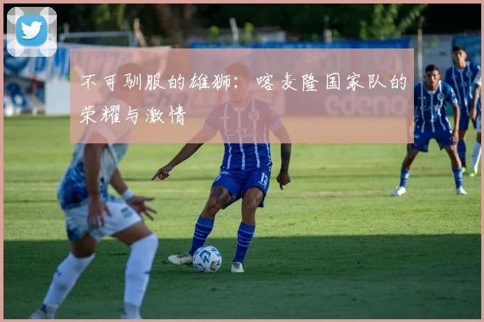 不可驯服的雄狮:喀麦隆国家队的荣耀与激情