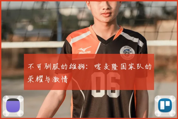 不可驯服的雄狮：喀麦隆国家队的荣耀与激情